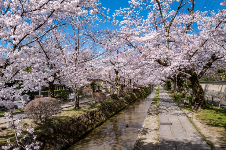 🌸 호조 큰 연못(호조 오이케) 이미지 8
